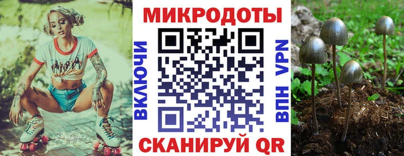 Псилоцибиновые грибы Magic Shrooms  Спасск-Дальний 